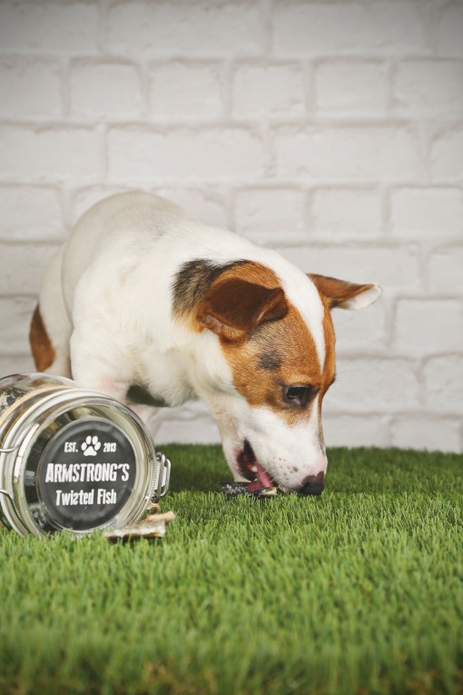 Arnold eating treats